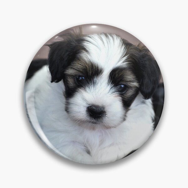Item preview, Puppy Love designed and sold by Rainbow Farm Photography.