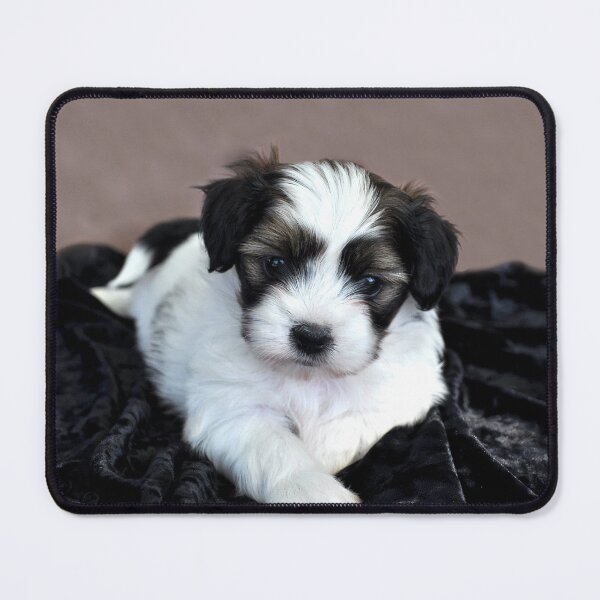 Item preview, Puppy Love designed and sold by Rainbow Farm Photography.
