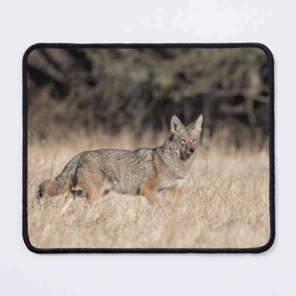 Item preview, Local Hunter designed and sold by Tom Talbott.