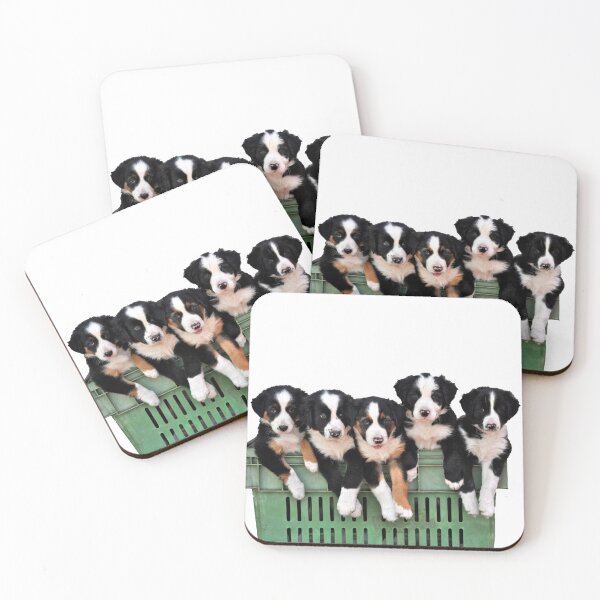 Item preview, 5 pups in a tub designed and sold by Rainbow Farm Photography.