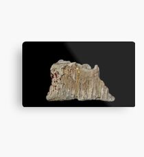Layer upon Layer Metal Print
