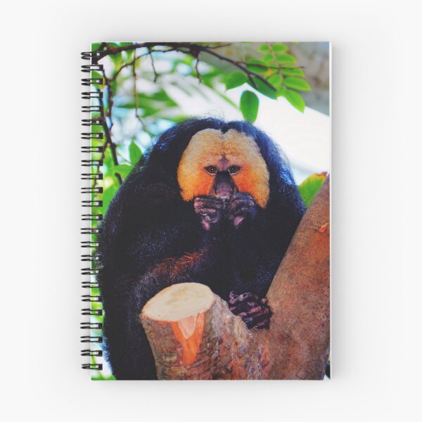 Item preview, White Face Saki Monkey  designed and sold by Savannah Gibbs.