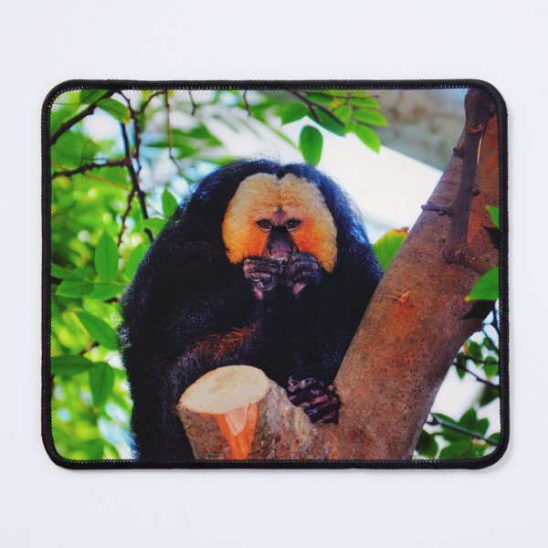 Item preview, White Face Saki Monkey  designed and sold by Savannah Gibbs.