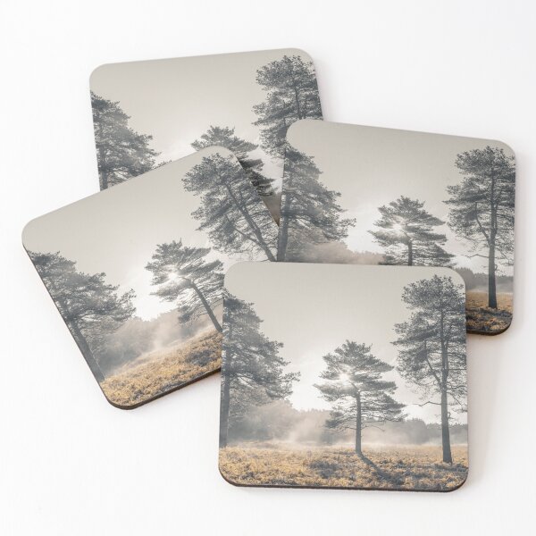 Item preview, Magical Forest Ambiance designed and sold by assaf.