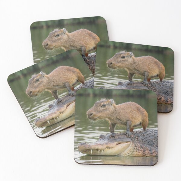 Item preview, Capybara on alligator designed and sold by PawelNature.