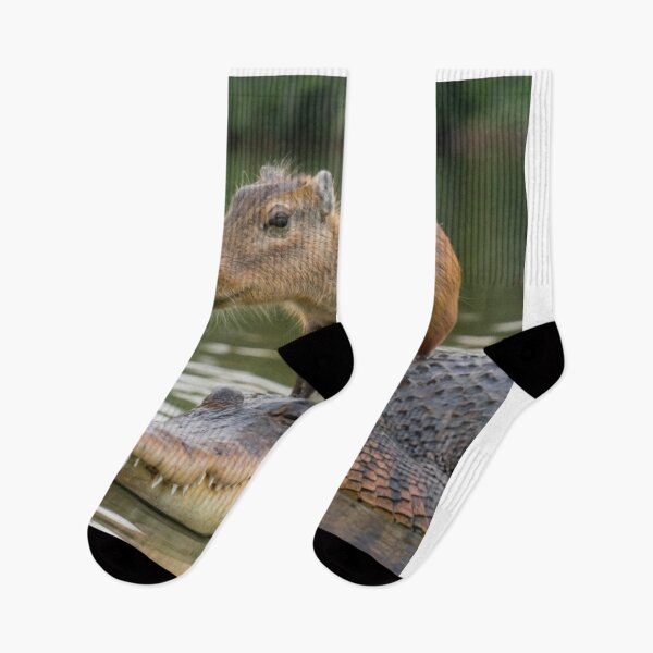 Item preview, Capybara on alligator designed and sold by PawelNature.