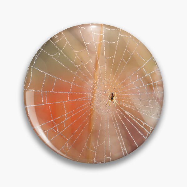 Item preview, Morning Spider designed and sold by assaf.