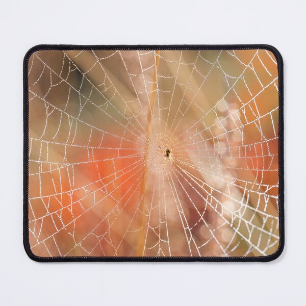 Item preview, Morning Spider designed and sold by assaf.
