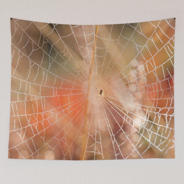 Item preview, Morning Spider designed and sold by assaf.