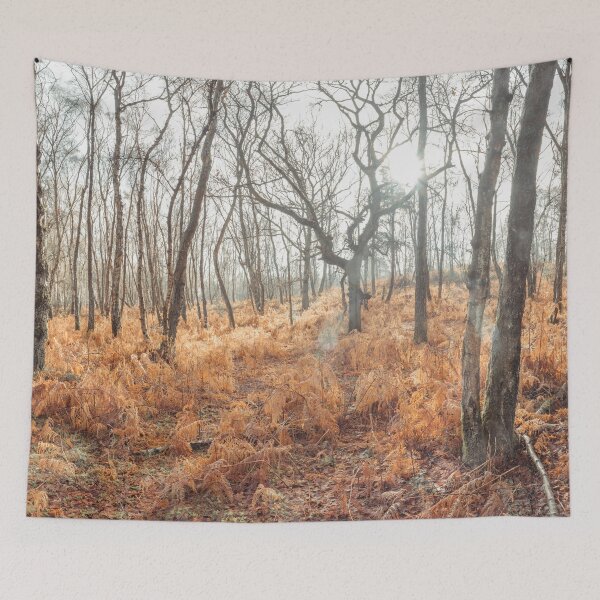 Item preview, Autumn forest designed and sold by assaf.