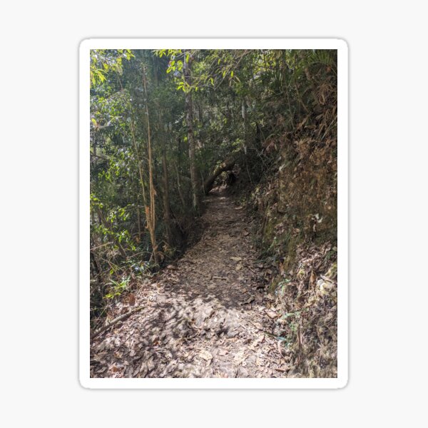 Item preview, Secret pathway designed and sold by misstash.