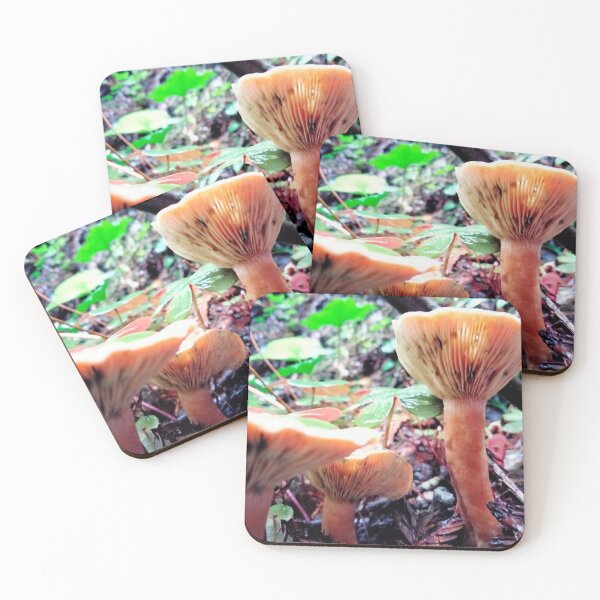 Item preview, Humboldt County Fungi #1 designed and sold by TeaFairy Art.