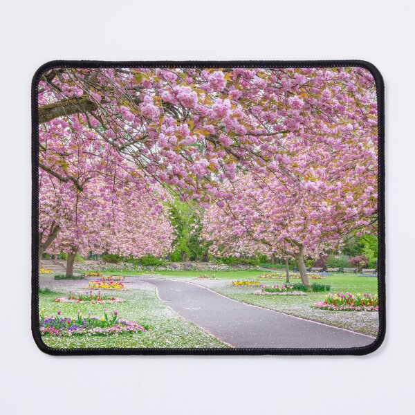 Item preview, Blossoms Adorn the Park designed and sold by assaf.