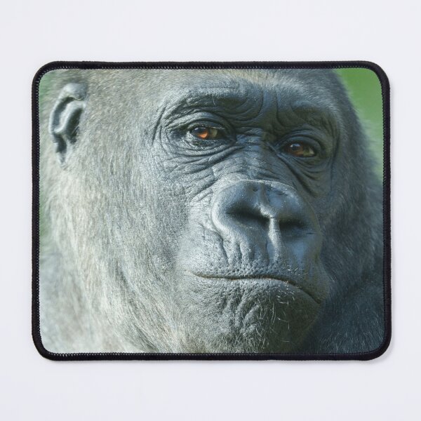 Item preview, Gorilla Face designed and sold by rawshutterbug.