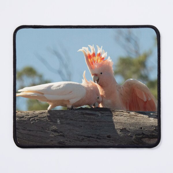 Item preview, Major Mitchell AKA Pink Cockatoo designed and sold by Ozjanette90.