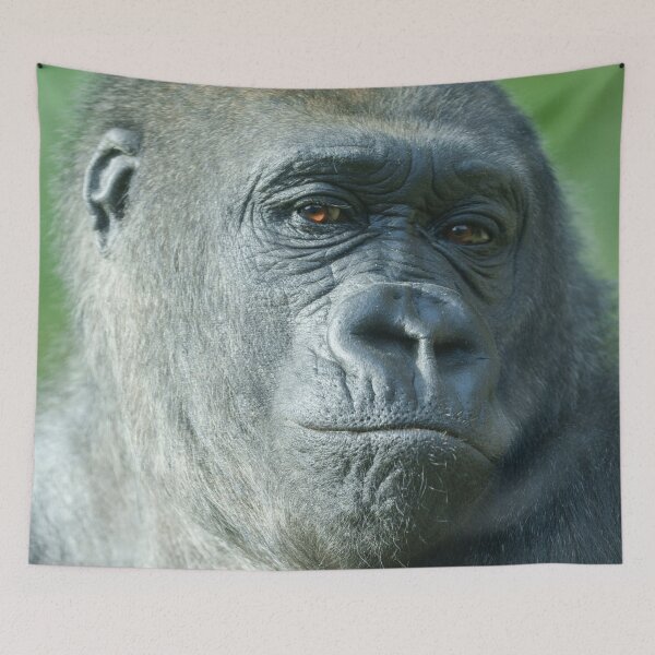 Item preview, Gorilla Face designed and sold by rawshutterbug.