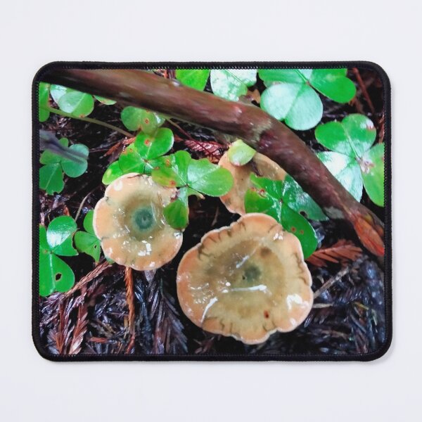 Item preview, Humboldt County Fungi #2 designed and sold by TeaFairy Art.