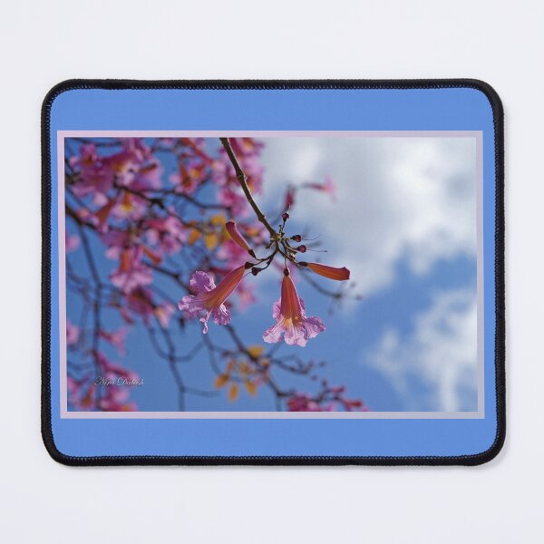 Item preview, And The Gates of Heaven Will Open designed and sold by Nira Dabush.
