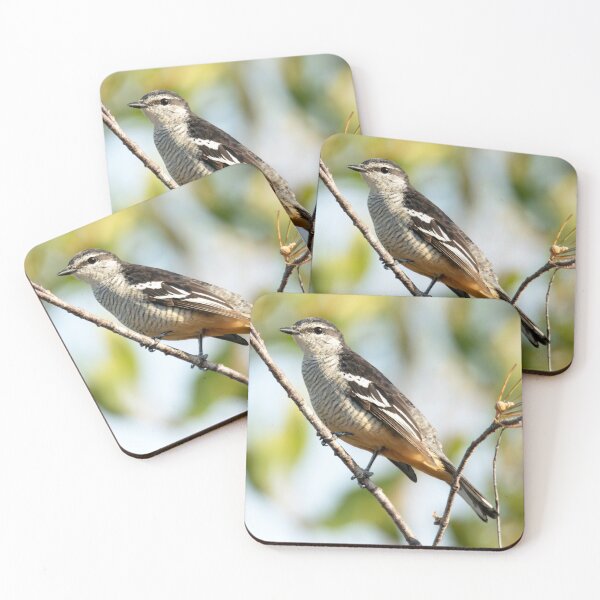 Item preview, Varied Triller designed and sold by Matt Vickery.