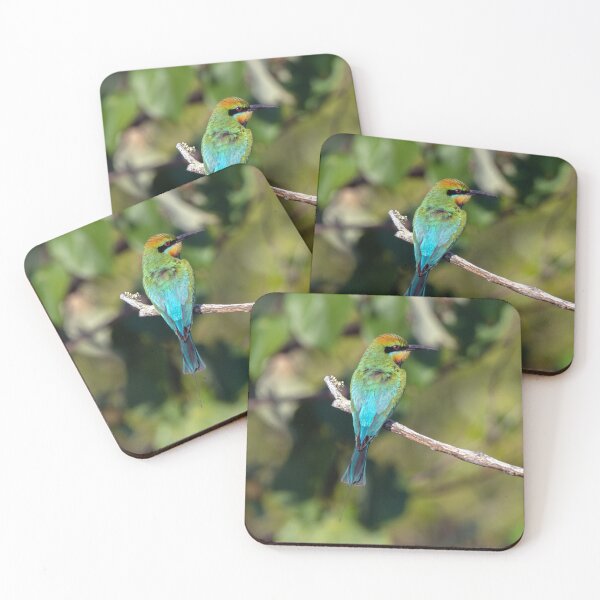 Item preview, Rainbow Bee-eater designed and sold by Matt Vickery.