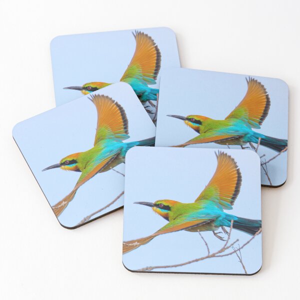 Item preview, Rainbow Bee-eater in Flight designed and sold by Matt Vickery.