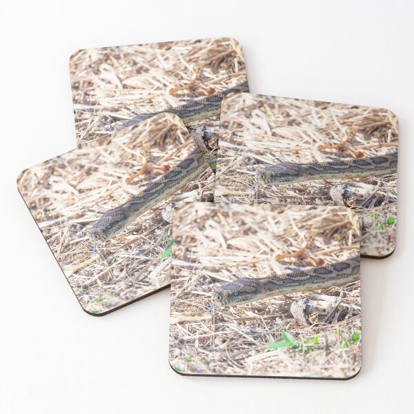 Item preview, Coastal Carpet Python designed and sold by Matt Vickery.