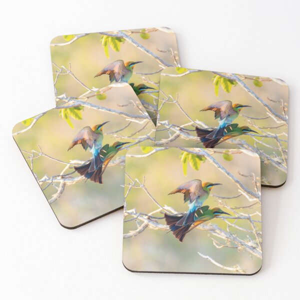Item preview, Rainbow Bee-eater Pair designed and sold by Matt Vickery.