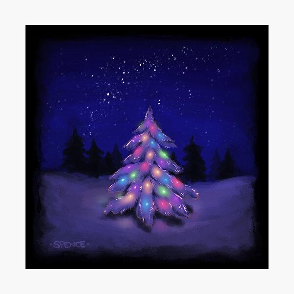 Christmas Tree in the Starry Forest Photographic Print