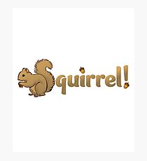 Squirrel! For entertaining conversations Photographic Print