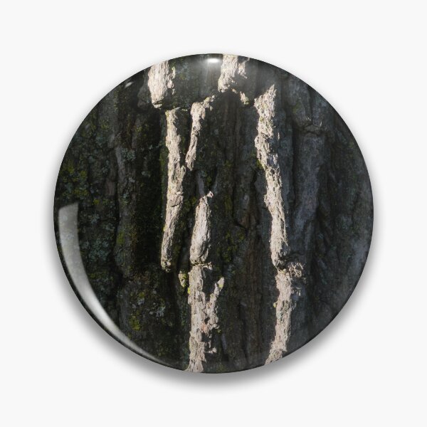 Item preview, Beauty of Tree Bark - Rough Furrows and Sunshine designed and sold by Georgia Mizuleva.