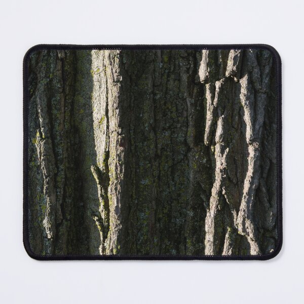 Item preview, Beauty of Tree Bark - Rough Furrows and Sunshine designed and sold by Georgia Mizuleva.