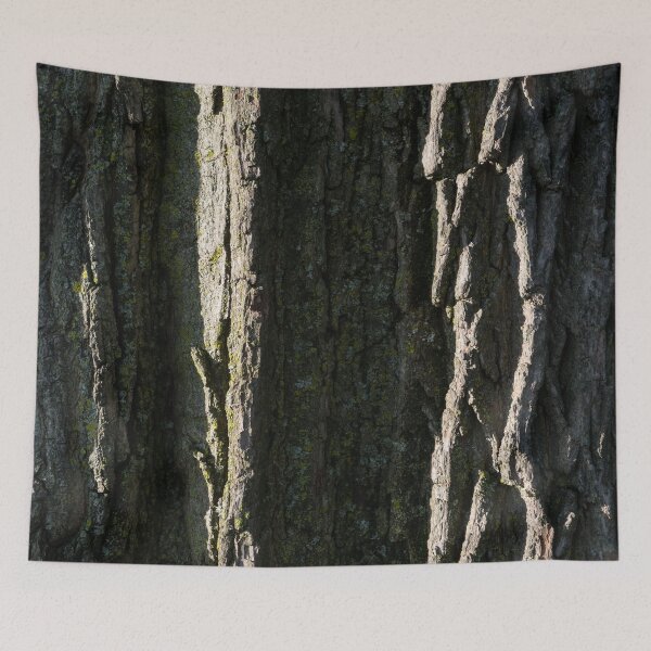Item preview, Beauty of Tree Bark - Rough Furrows and Sunshine designed and sold by Georgia Mizuleva.