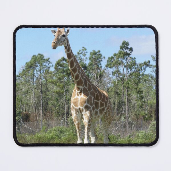Item preview, Giraffe designed and sold by animal-animal.