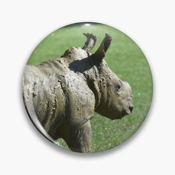 Item preview, Baby Rhino After A Mud Bath designed and sold by megjayne-photos.