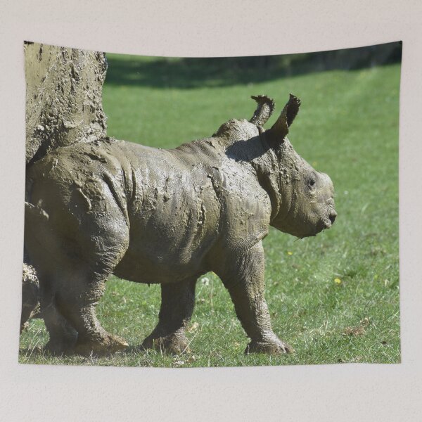 Item preview, Baby Rhino After A Mud Bath designed and sold by megjayne-photos.