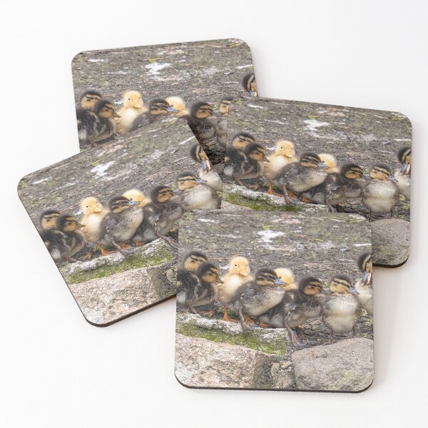 Item preview, baby ducklings, designed and sold by kathleenjean.