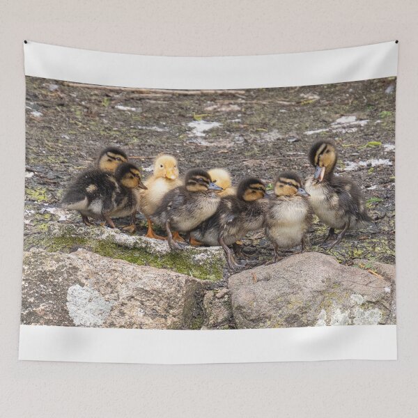 Item preview, baby ducklings, designed and sold by kathleenjean.