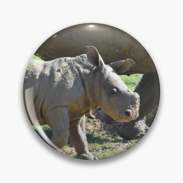 Item preview, Baby Rhino designed and sold by megjayne-photos.