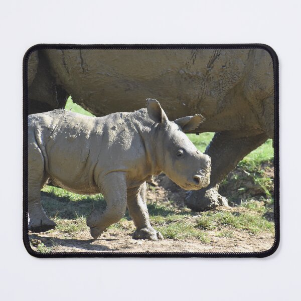 Item preview, Baby Rhino designed and sold by megjayne-photos.