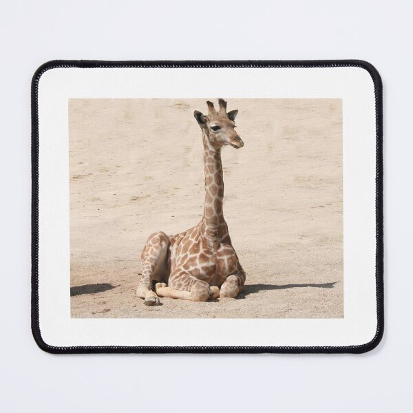 Item preview, african giraffe designed and sold by animal-animal.