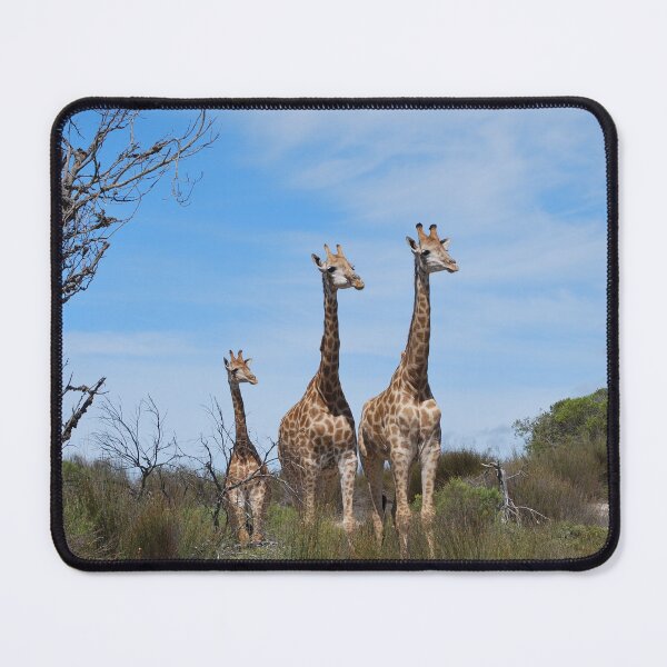Item preview, african giraffes designed and sold by animal-animal.