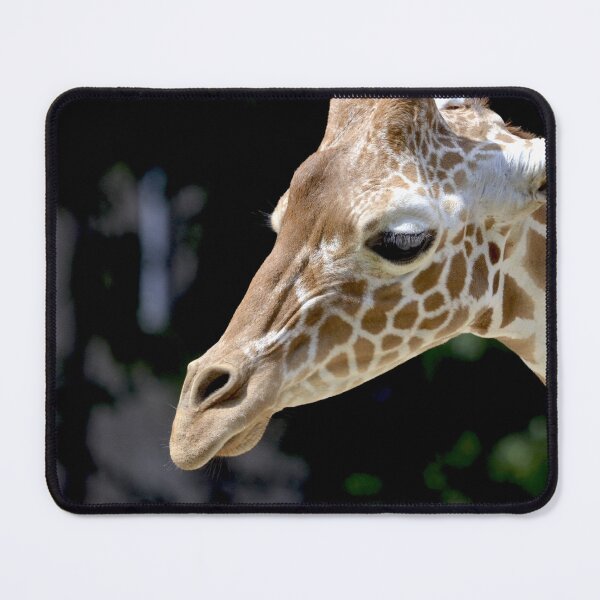 Item preview, Giraffe designed and sold by animal-animal.