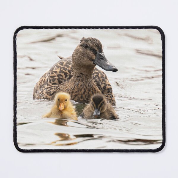 Item preview, mum and babby ducks designed and sold by kathleenjean.