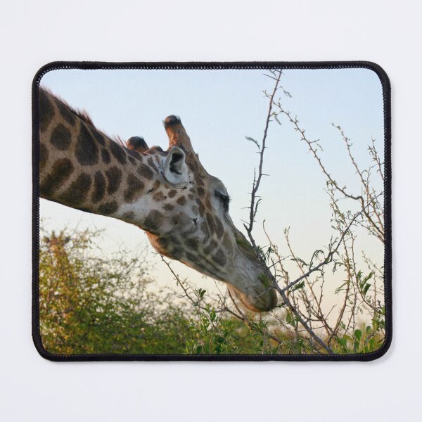 Item preview, Giraffe designed and sold by animal-animal.
