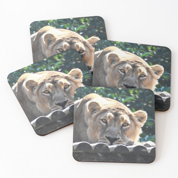 Item preview, Sleepy Lion designed and sold by megjayne-photos.