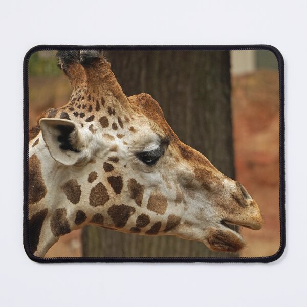 Item preview, Giraffe designed and sold by animal-animal.