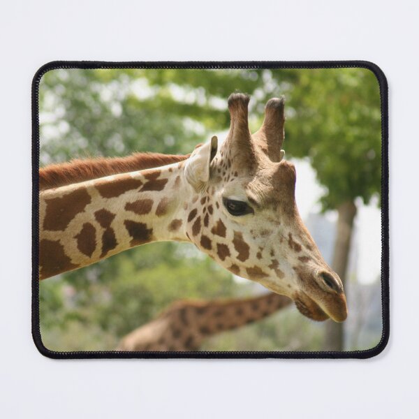 Item preview, Giraffe designed and sold by animal-animal.