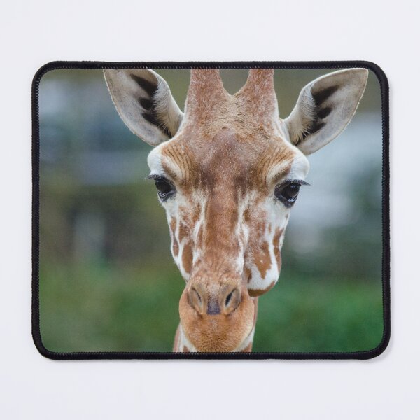 Item preview, funny giraffe designed and sold by animal-animal.