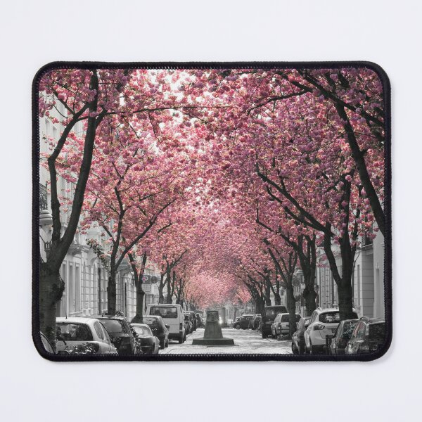 Item preview, Famous cherry blossom avenue in Bonn, Germany designed and sold by VictoriaBonn.