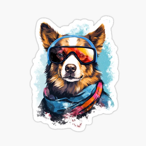 OC] cute dog I met on a ski trip : r/aww